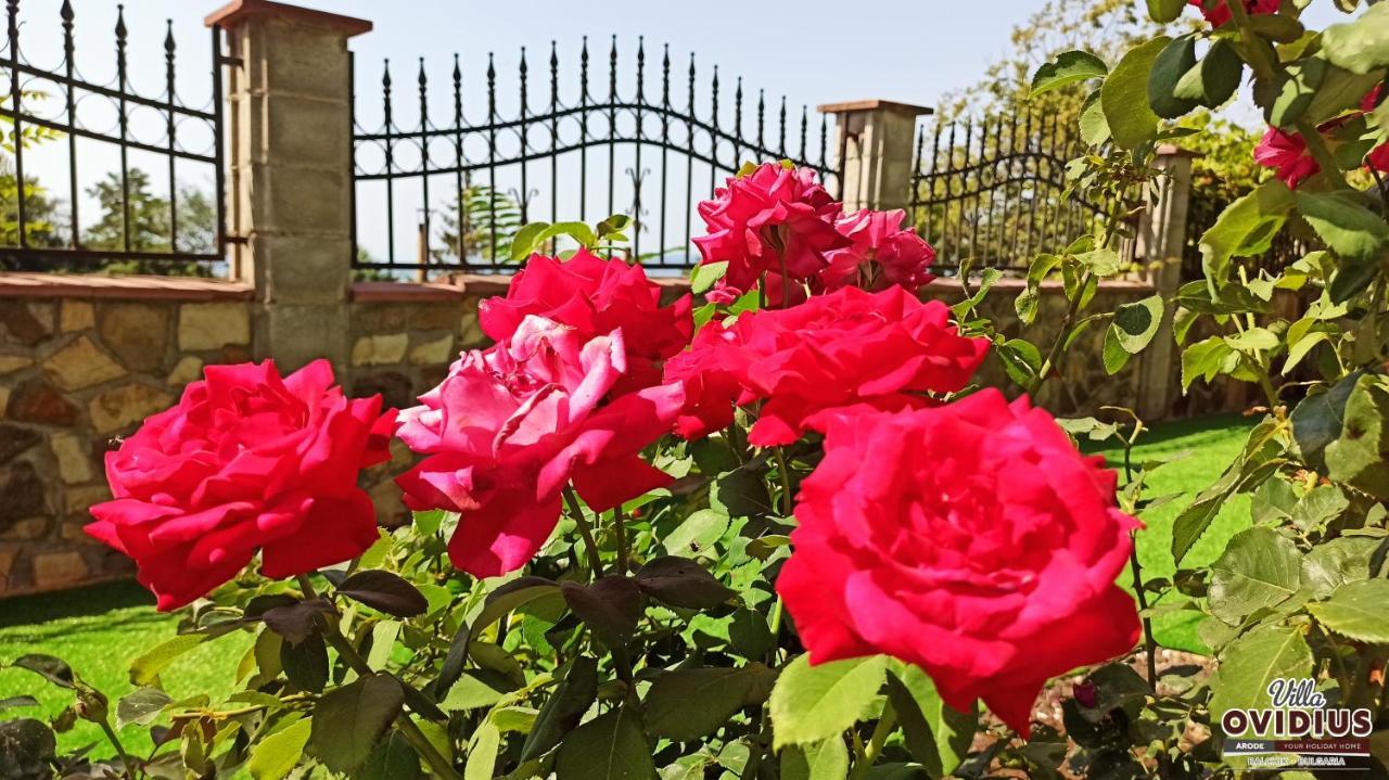 Arode Villa Ovidius Balčik Exteriér fotografie